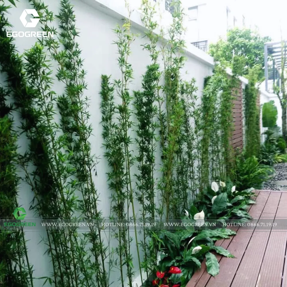 Trúc nhật khiến không gian thoáng hơn.